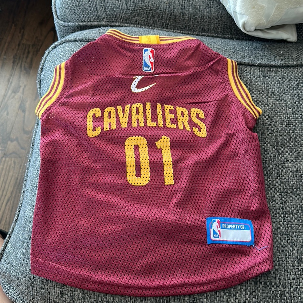 Cavaliers pet jersey size m